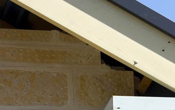 soffit repair Longburton